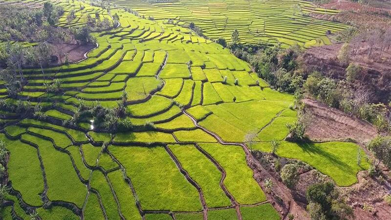 Ruộng bậc thang Xã Kdang