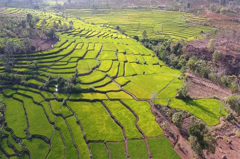 Ruộng bậc thang Xã Kdang